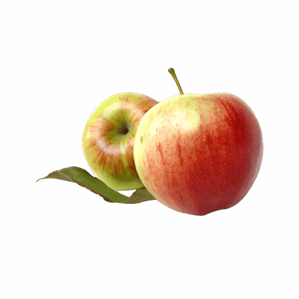 Orange - Image 3