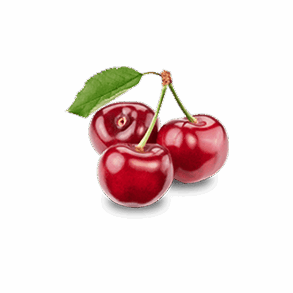 Branch Apple - Image 3