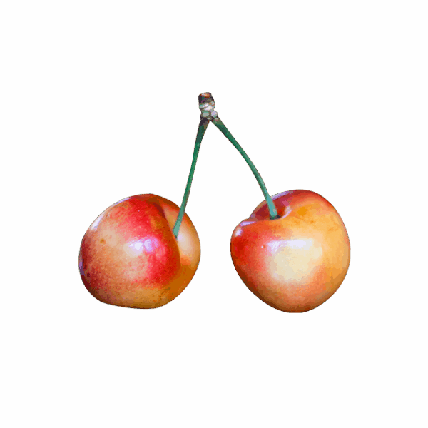 Branch Apple - Image 4