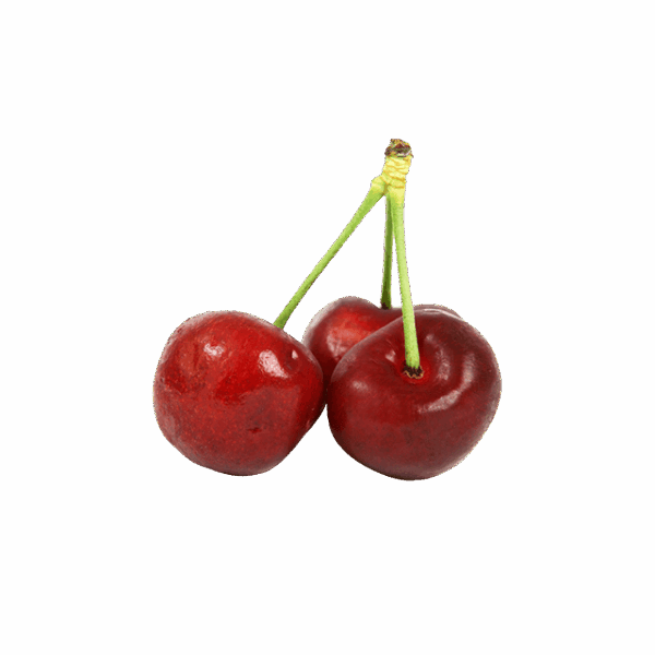 Branch Apple